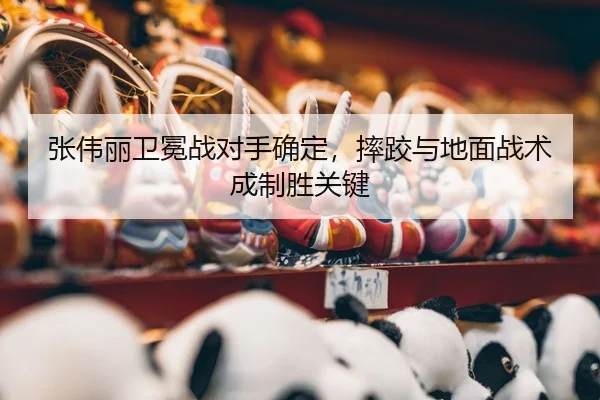 zhang-wei-li-wei-mian-zhan-dui-shou-que-ding-shuai-jiao-yu-di-mian-zhan-shu-cheng-zhi-sheng-guan-jian-3-767.jpg