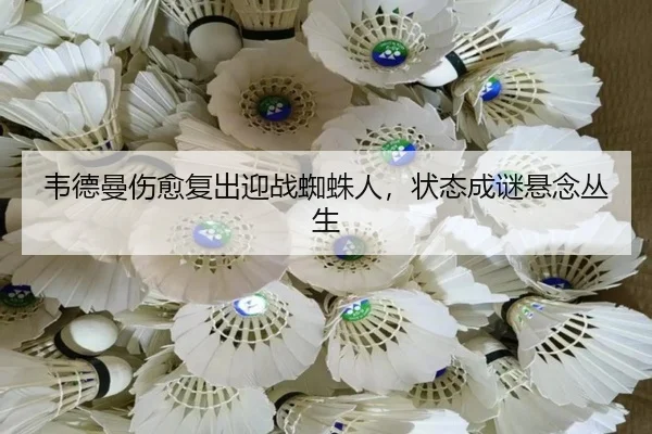 韦德曼伤愈复出迎战蜘蛛人，状态成谜悬念丛生