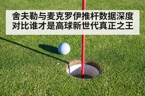 舍夫勒与麦克罗伊推杆数据深度对比谁才是高球新世代真正之王