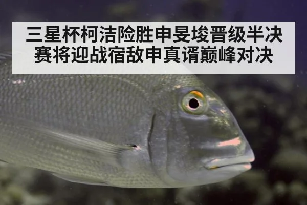 三星杯柯洁险胜申旻埈晋级半决赛将迎战宿敌申真谞巅峰对决